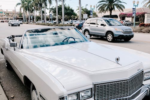 pexels julia kuzenkov 442028 1974520